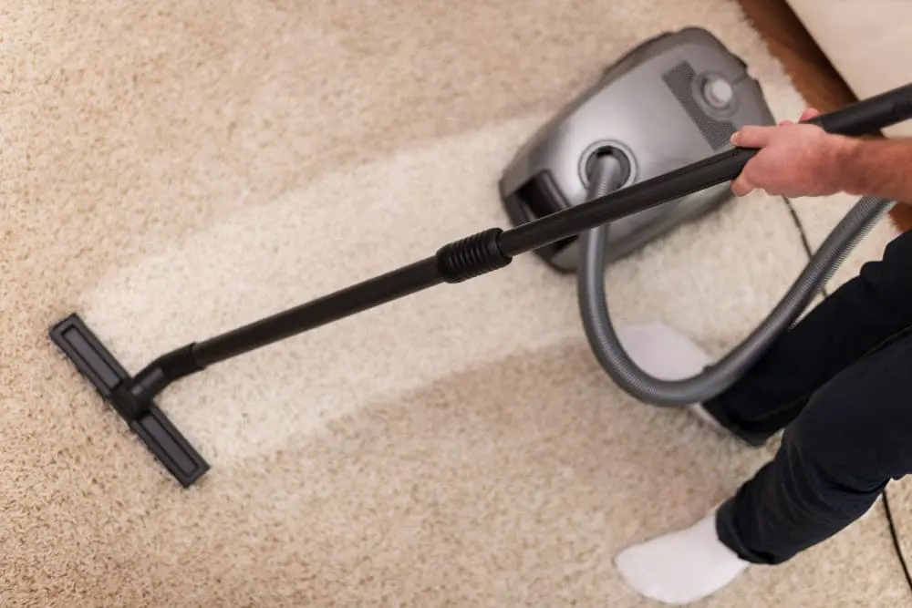 Same Day Carpet Cleaning